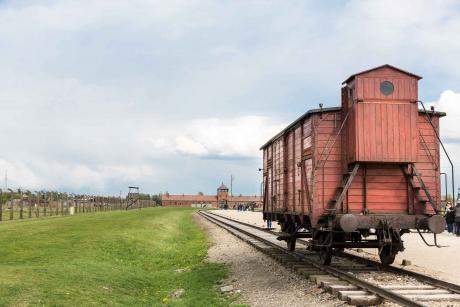 Railway Wagon For Prisoners Auschwitz